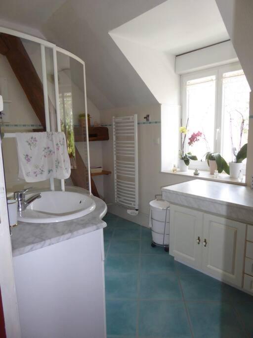 Maison Entiere Independante Noyers-sur-Serein Extérieur photo